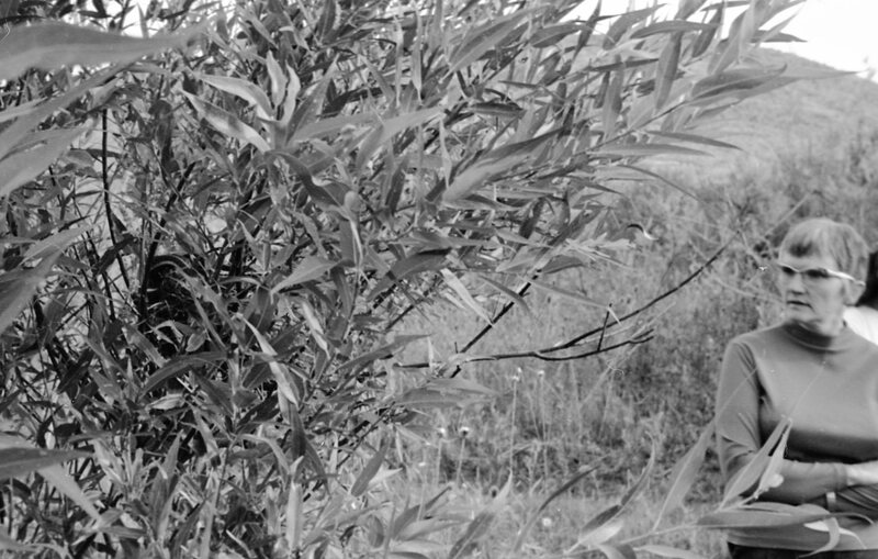 1973 Field Trip, Outdoors 09