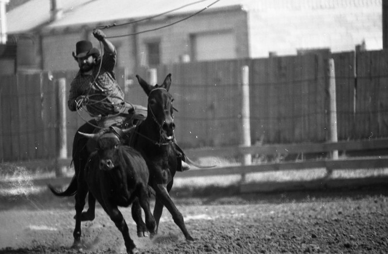 1981 Mule Rodeo, Roping Pairs 03