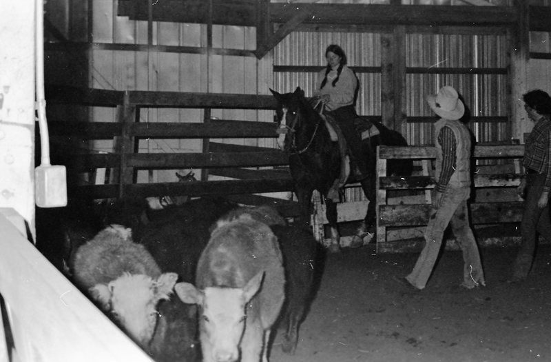 1976 Rodeo, Herding