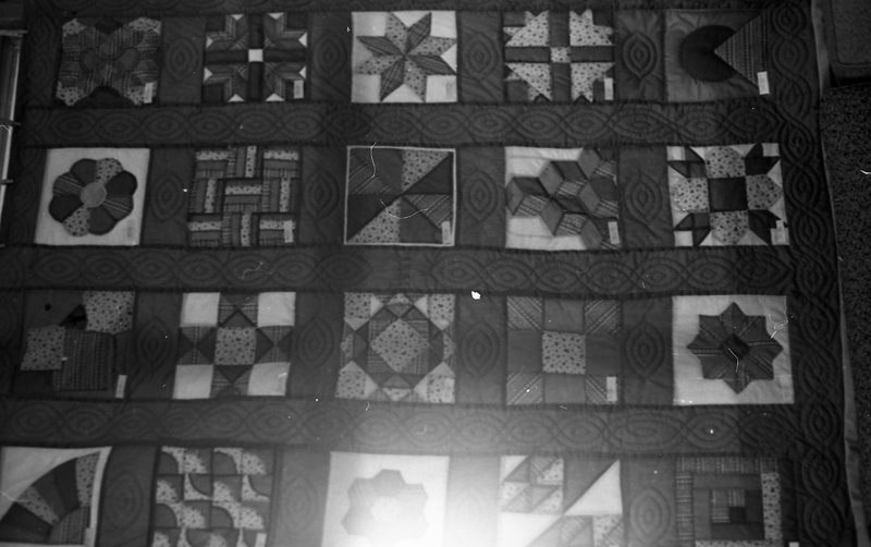 1981 Pierce Library, Fund Raising Quilt 16