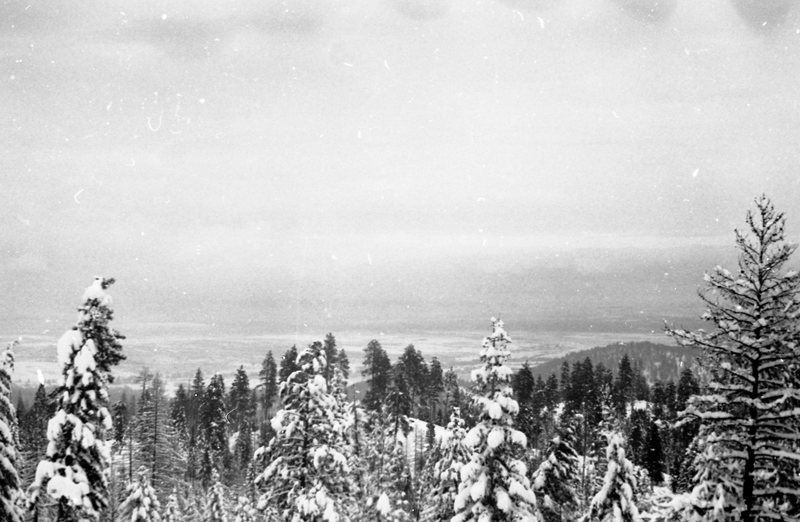 1981 Oregon, Blue Mountains 08