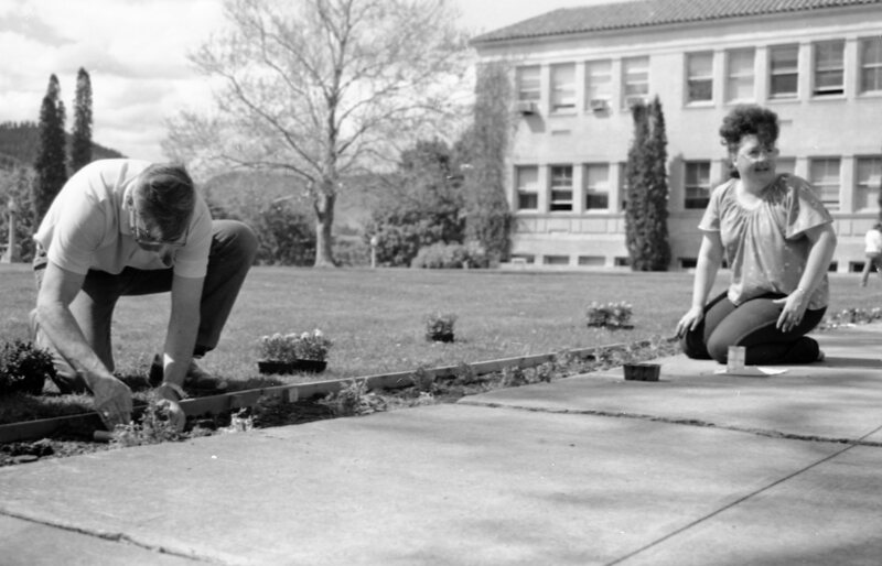 1988 Employees, Planting 02