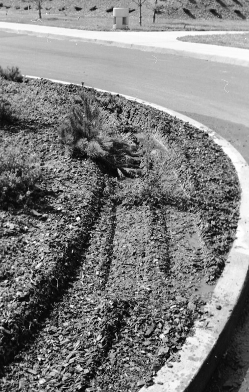 1974 Traffic Circle Damage 03