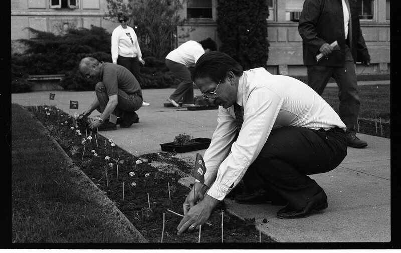 1991 Employees, Planting 02