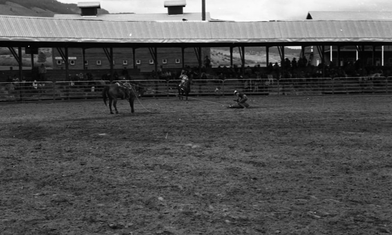 1982 EOSC Rodeo, Roping 03