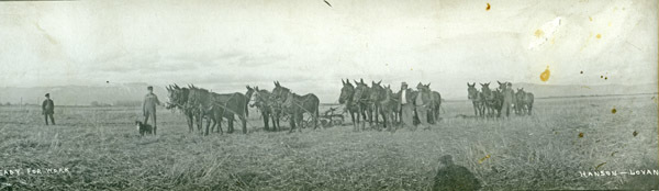 GRV, Farming