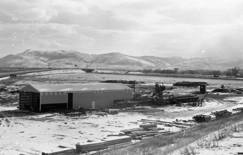 1980 Log Plant 10
