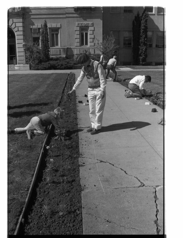 1989 Employees, Planting 18