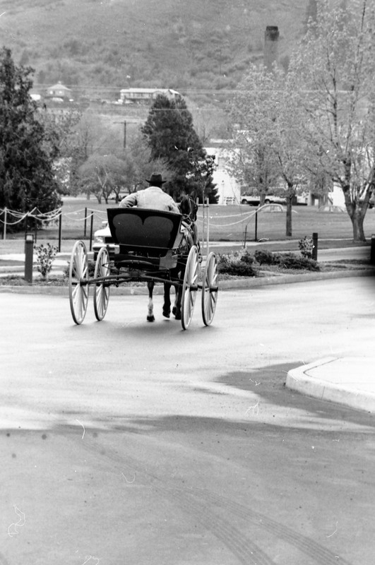 1988 Employee, Jack Johnson Carriage Ride 08