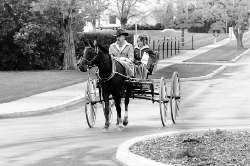 1988 Employee, Jack Johnson Carriage Ride 05