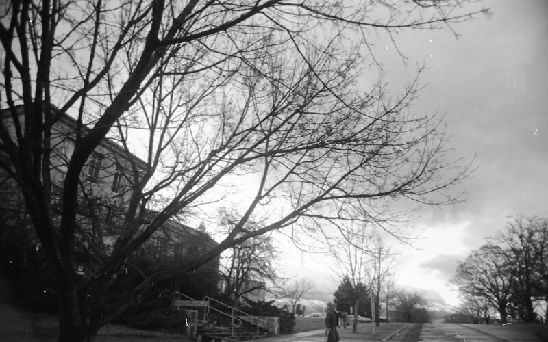 1983 Walter M. Pierce Library Entrance 02