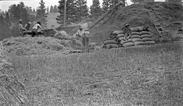 Hilgard, Gettle Ranch 6