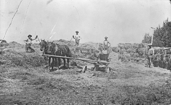 Farm, Hay Baling Operation