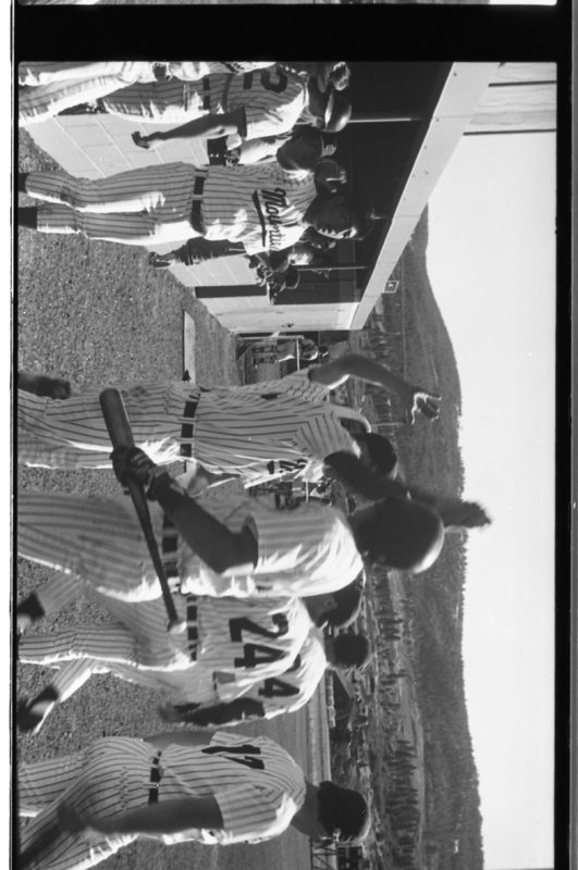 1989 Baseball Players