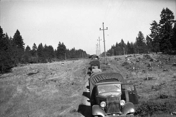 A line of military trucks on a dirt road which runs adjacent to electrical poles. Recently cleared trees can be seen on the right, along with uncut trees in the background.