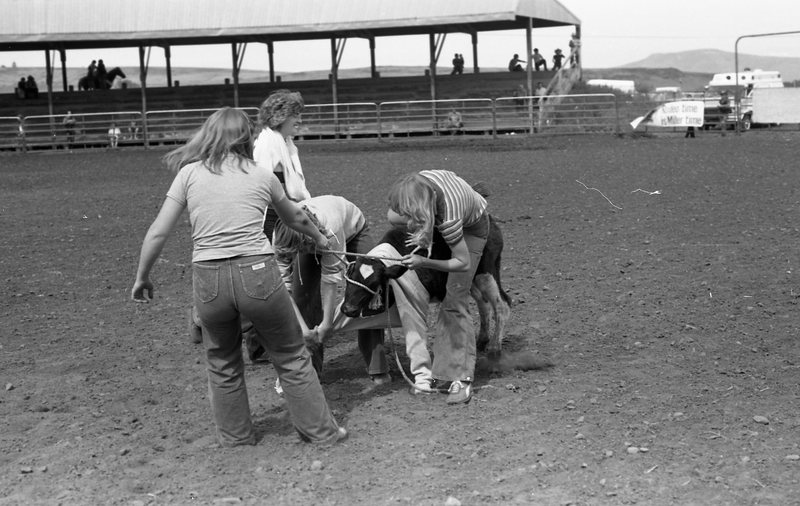 1981 Rodeo, Calf Dressing 09