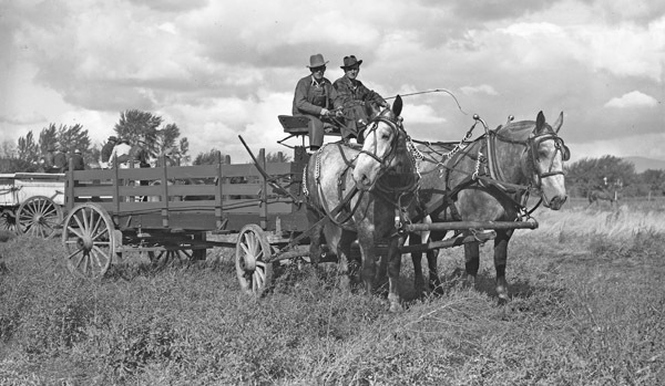 Union Stock Show, 1941 13