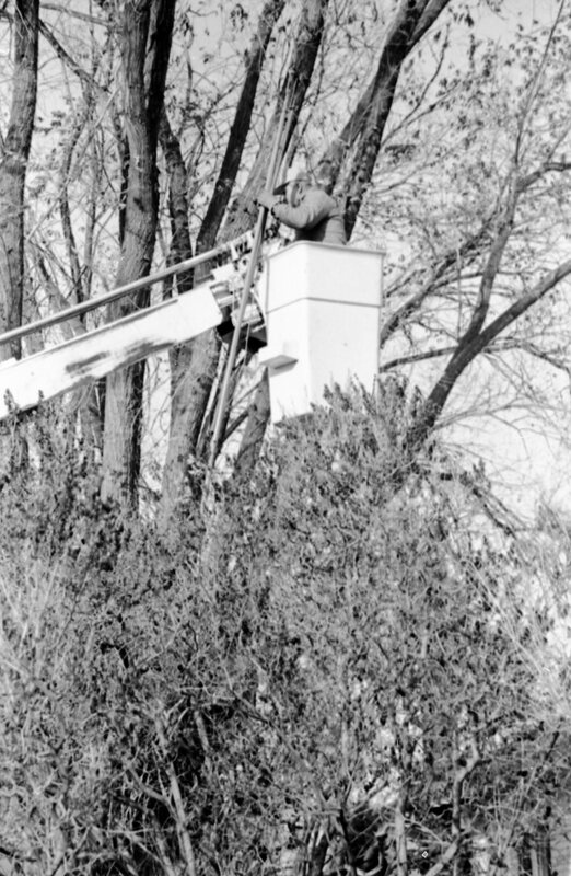 1988 Employee, Tree Trimming 08