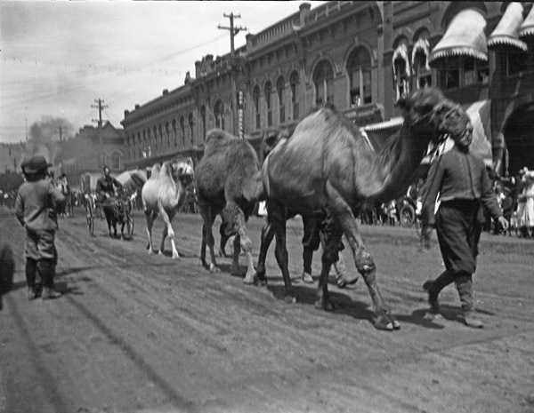 La Grande Parade, Circus 4