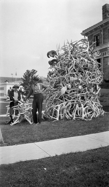 Wyoming, Antler Collection