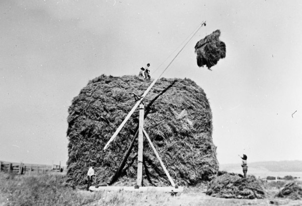 Elgin Farm, Carl Long 4