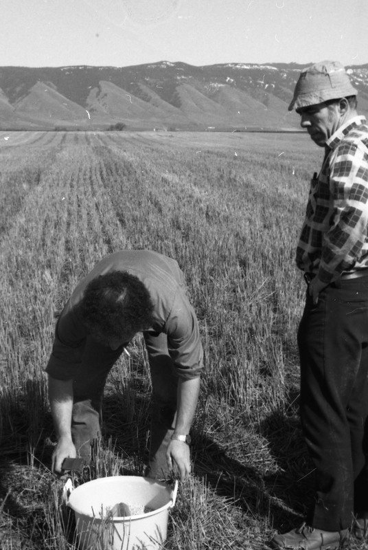 1980 Agriculture Study 08