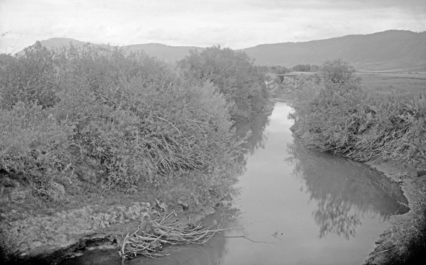 Cove, Stream 1