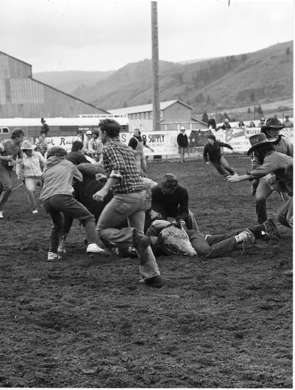 1982 EOSC Rodeo, Cow Milking 03