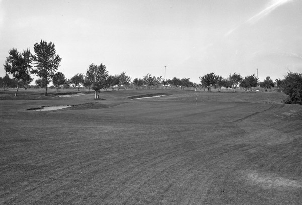 Island City, Golf Course 8