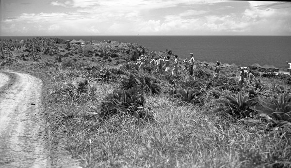 Japanese Surrender, Waiting 1