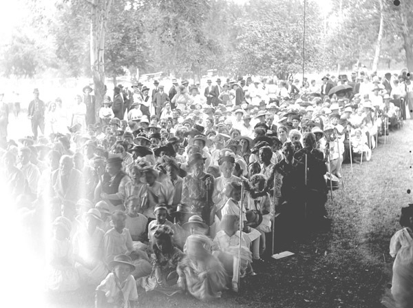 Cove, Cherry Fair Crowd 2