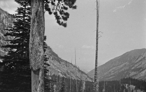 Oregon, Scenery 16