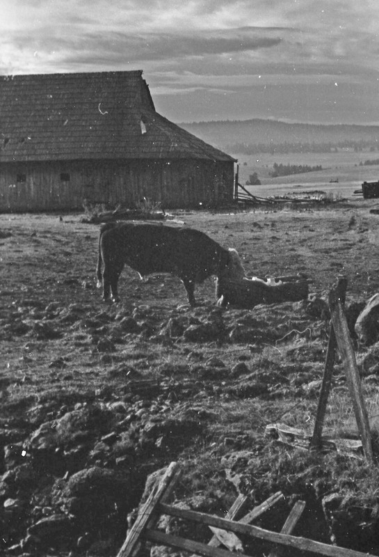 1985 Agriculture, Ranch 08