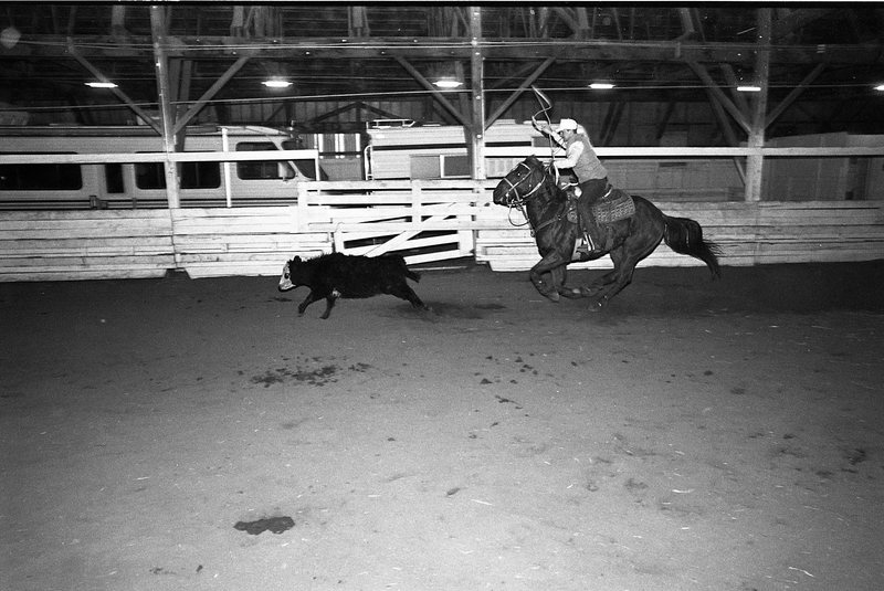 1991 Rodeo, Roping Practice 13