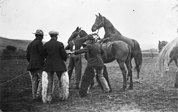 Union Stock Show, 1914 2