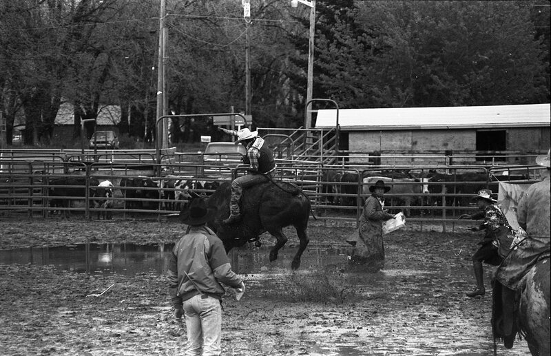 1991 Eastern Rodeo, Bull Riding 08