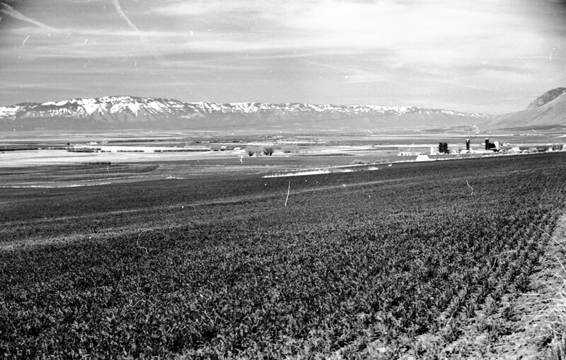 1978 Agriculture, Farm Equipment 09