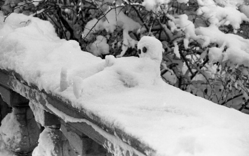 1984 Snowman 02