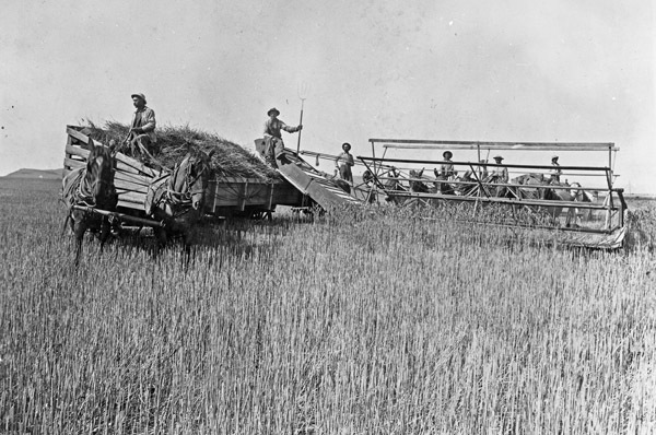 Alicel, Farm Header