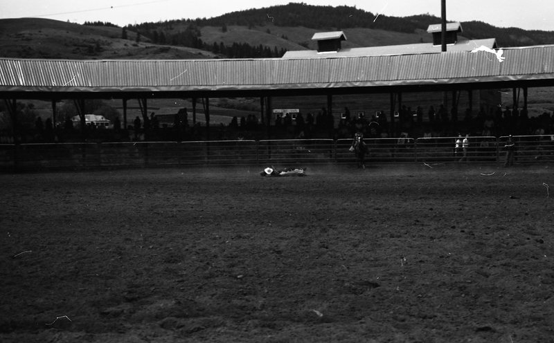 1981 Rodeo, Bulldogging 08