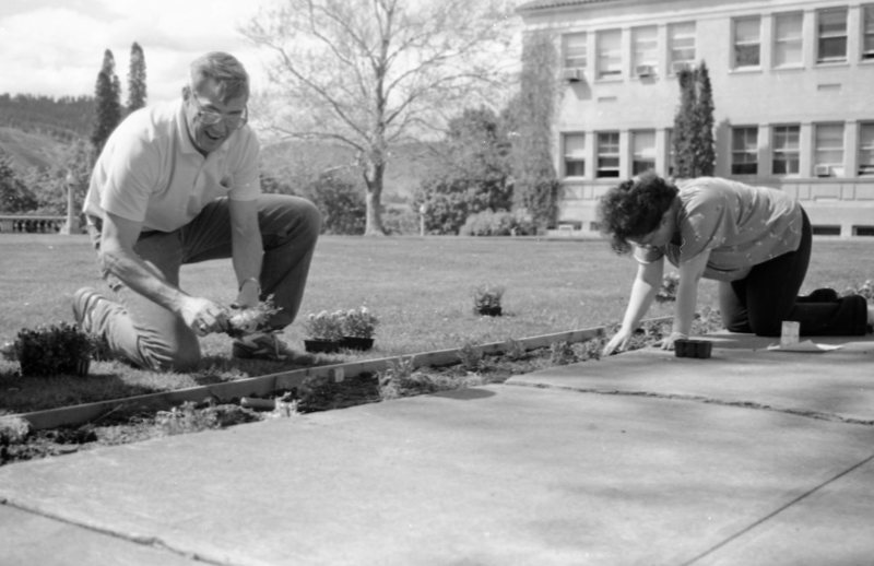 1988 Employees, Planting 01