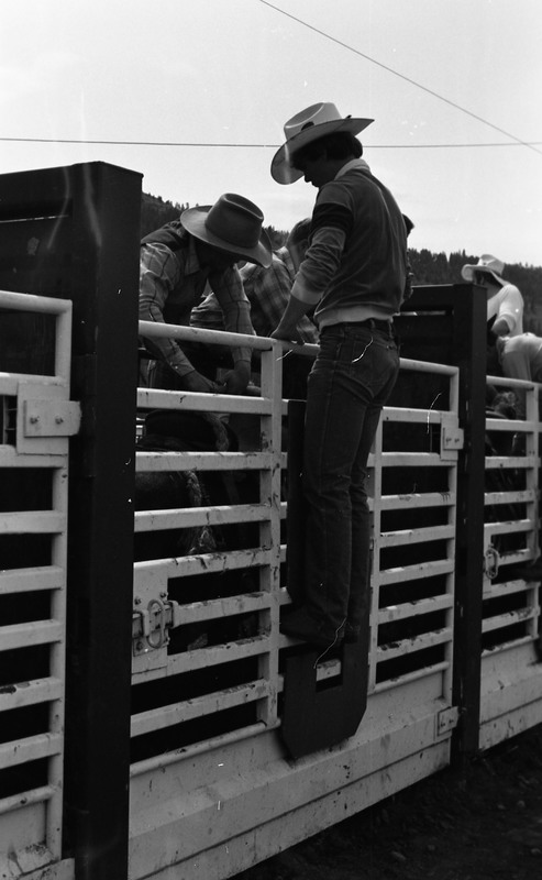 1981 Rodeo, Cowboys in Chute 22