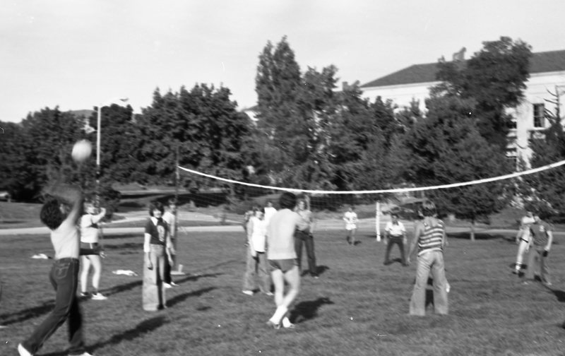 1981 Volleyball, New Students 16