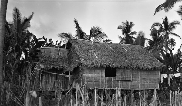 Leyte Local Houses 3