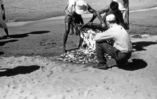 Lingayen Gulf Fishing 4
