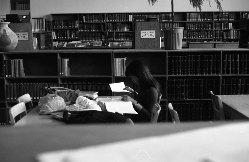 1981 Pierce Library Usage 04