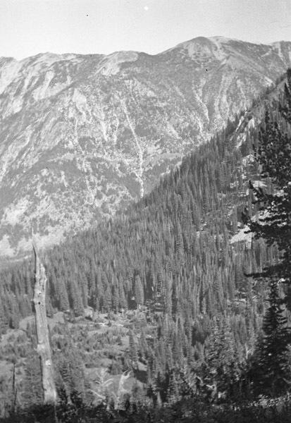 Oregon, Scenery 29