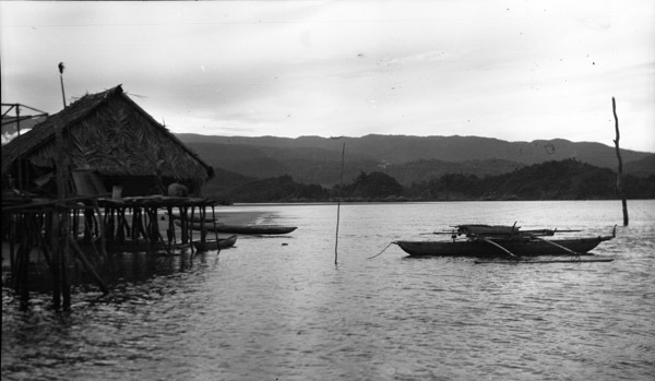 Hollandia Native Homes 1