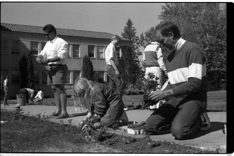 1989 Employees, Planting 05