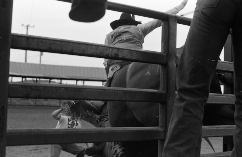 1981 Rodeo, Bull Riding 01